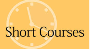 Nina’s short courses A1 Grammar